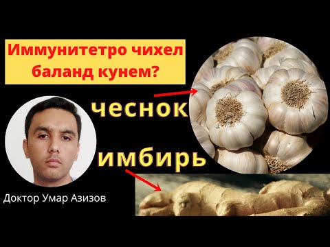 Видео: Иммунитет барои чи паст мешавад? Чеснок чи фоида дорад? Имбирь