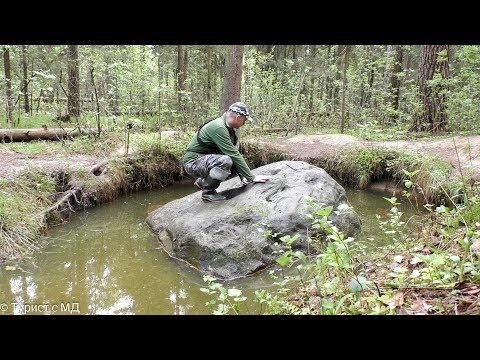 Видео: Синь камень / Велесов камень / Языческое капище / Места силы / Чашечник / Синий камень
