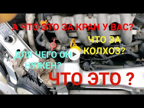 Видео: ПРОГРЕВ ДВИГАТЕЛЯ В ЧЕРИ ДЖАГГИ,КИМО,БИД, ИНДИС.