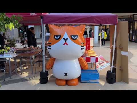 Видео: Бродилка по аутлету Mitsui Outlet Park в Японии. Зыринг NB, Kate Spade, Adidas, Coach, Dunhill .