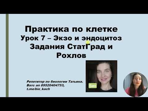 Видео: Экзоцитоз, эндоцитоз 2023, СХЕМА ИЗ СТАТГРАД
