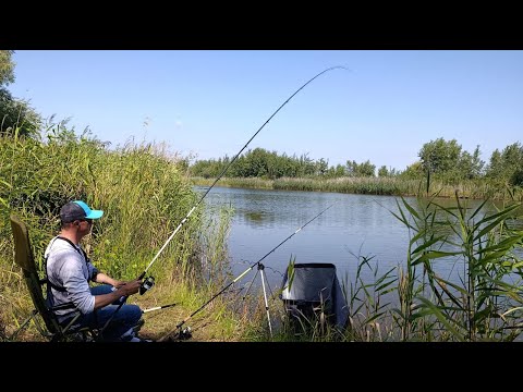 Видео: На що краще КЛЮЄ карась в спеку!РИБАЛКА на вбивцю карася! СЕКРЕТНА насадка! Такого ще НЕ ЛОВИВ!