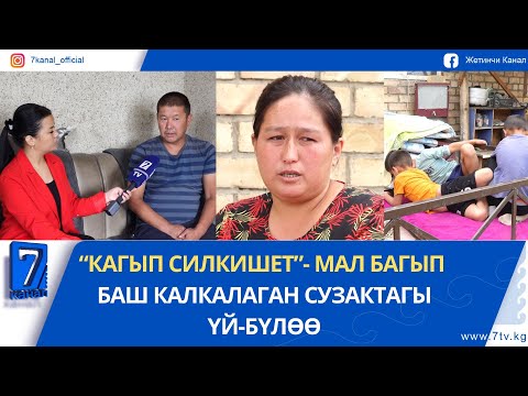 Видео: “КАГЫП СИЛКИШЕТ”- МАЛ БАГЫП БАШ КАЛКАЛАГАН СУЗАКТАГЫ ҮЙ-БҮЛӨӨ