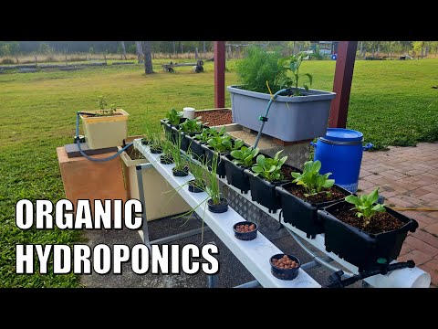 Видео: Высадка растений в систему органической гидропоники
