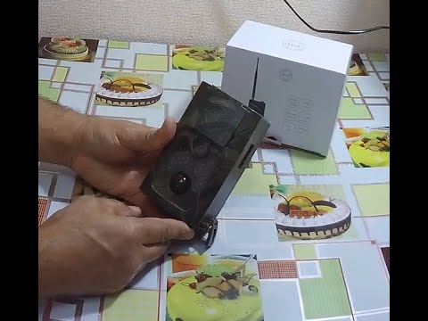 Видео: Фотоловушка Филин 120 (НС-550). Не покупай пока не посмотришь видео