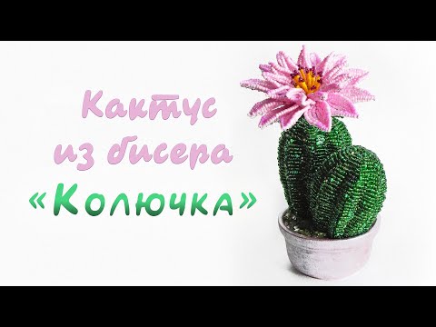Видео: КАКТУС из БИСЕРА - мастер-класс