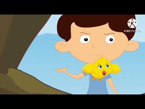 Видео: Жаратылыстану  1 сынып  Адамның дене мүшелері