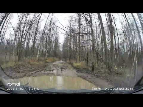 Видео: Driving in Shatura municipal okrug: Черусти - около п. Красная Гора 03/11/2025 (timelapse 4x)