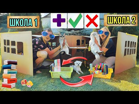 Видео: ТРЕЙДЫ КАНЦЕЛЯРИЕЙ ДЛЯ КОТОВ В КАРТОННЫХ ШКОЛАХ | КЕВА И БИЛ ИДУТ В ШКОЛУ