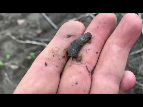 Видео: ДВА ВЫЕЗДА|КОП С МЕТАЛЛОИСКАТЕЛЕМ|Metal detecting