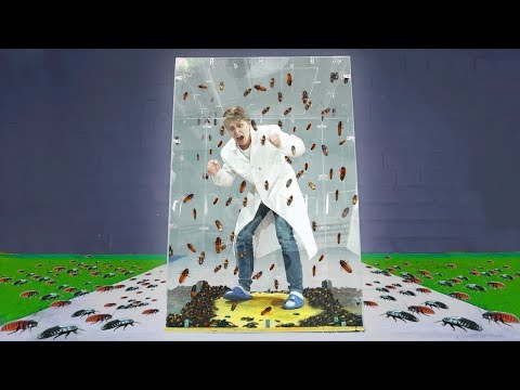 Видео: ЗАКРЫЛИ В КУБЕ С 1000 ТАРАКАНАМИ НА ЦЕЛЫЙ ЧАС!