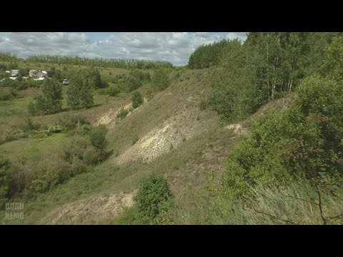 Видео: Васильевка и Крутец.