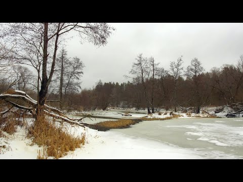 Видео: Малые реки Черноземья. Флажки.