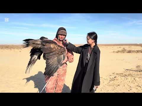 Видео: 10 ноября 2025 г.