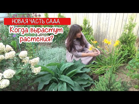 Видео: САД с НУЛЯ. Сколько растут растения? Моя новая часть сада.