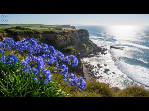 Видео: Прекрасная утренняя музыка🌺Прекрасная музыка для души🌿Музыка Сергея Грищука