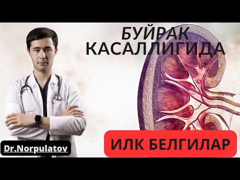 Видео: БУЙРАК КАСАЛЛИКЛАРИ | КАНДЛИ ДИАБЕТ АСОРАТЛАРИ | БУ СИЗНИ ХАЙРОН КОЛДИШИ АННИК 👀