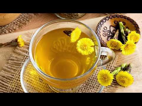 Видео: Лекарственные растения