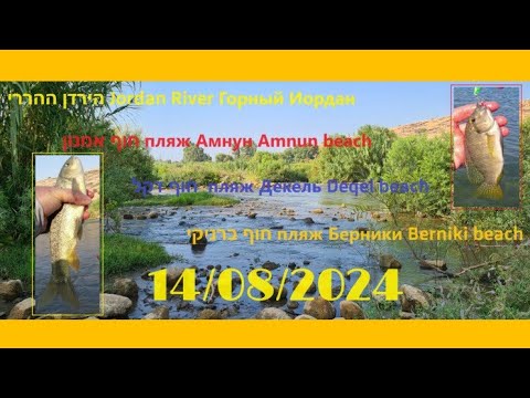 Видео: 4K 14/08/2024  דיג במים מתוקים рыбалка в Израиле fishing in Israel pesca en Israel
