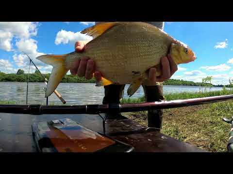 Видео: ОНИ ГНУЛИ УДОЧКИ, РЫБАЛКА НА ДОНКИ В ЧЕРТЕ ГОРОДА, КИРОВ , РЕКА ВЯТКА.