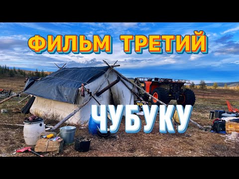 Видео: Наше новое стадо . Фильм четвертый  . Чубуку . 