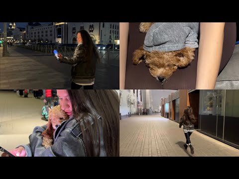 Видео: Первая собака, негативный опыт. Почему не переехала в Берлин. Как я завела той пуделя.