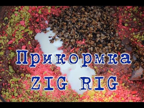 Видео: Прикормка для ловли карпа на ZIG RIG