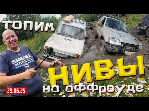 Видео: ОФФРОАД 54 ТОПИМ НИВЫ
