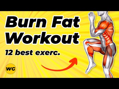 Видео: Тренировка для полного сжигания жира в домашних условиях ⚠️ Как сжечь жир в домашних условиях