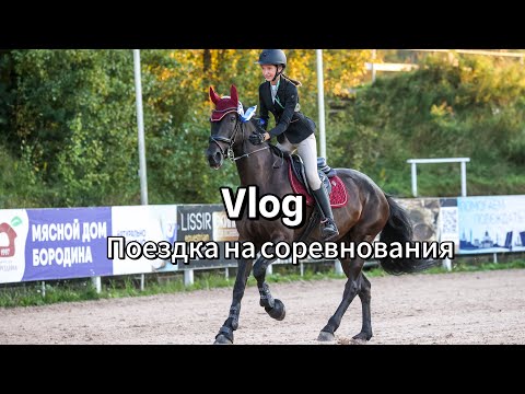 Видео: Соревнования по конкуру | влог