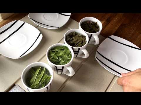 Видео: Иван-чай без ферментации, что получится?