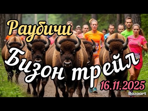 Видео: Бизон Трейл. Раубичи. 16.11.2025 г.