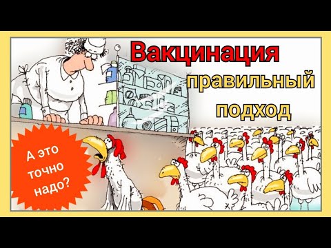 Видео: Вакцинация - за и против / Просто о сложном / Вакцинация птицы