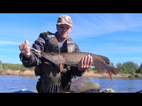 Видео: Джиг или Отводной поводок? Рыбалка на Спиннинг на Оке 2022! Ловля СУДАКА, ЩУКИ, БЕРША!