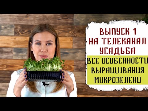 Видео: Выращивание микрозелени все особенности | Нетипичный огород