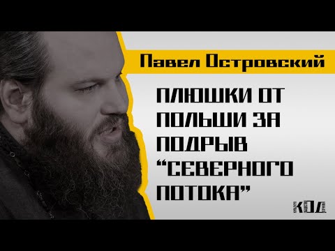 Видео: Павел Островский: Водительские права, материнство, выборы в Молдавии