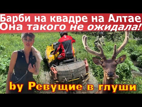 Видео: Девушка на квадроцикле по горам Алтая! Такого она точно не ожидала!