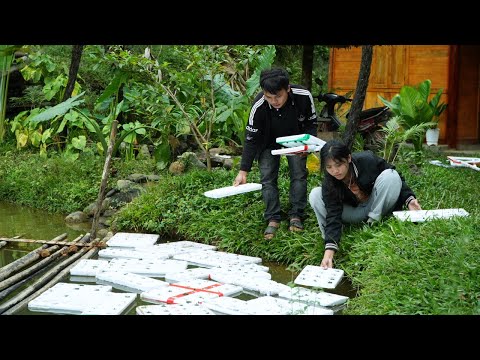 Видео: Пао впервые попробовал выращивать овощи на гидропонике: совершенно новый метод