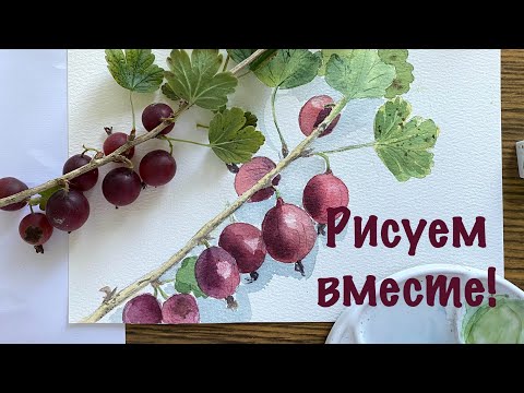 Видео: Рисуем вместе шаг за шагом ❤️ Крыжовник акварелью с натуры