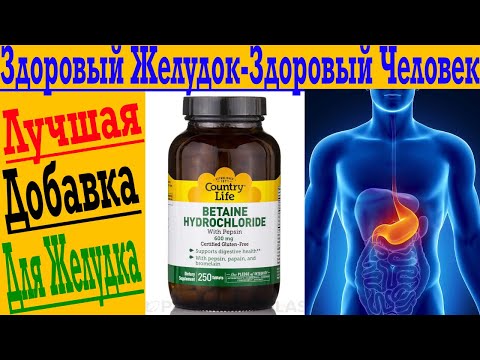 Видео: Как помочь желудку лучше переваривать?! Супер добавка для желудка!