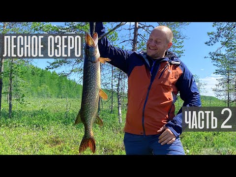 Видео: Рыбалка на лесном озере. Пять дней счастья. Часть 2.