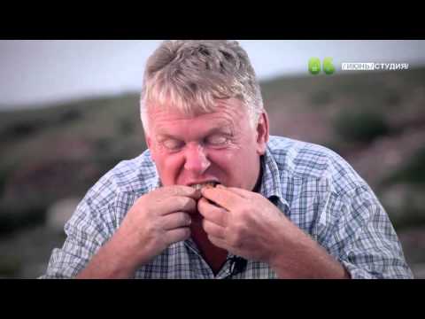 Видео: ЯЗЬ ПРОТИВ ЕДЫ Монголия