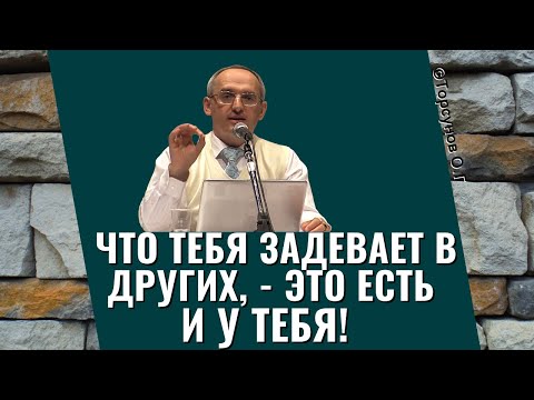 Видео: Что тебя задевает в других, - это есть и у тебя! Торсунов лекции