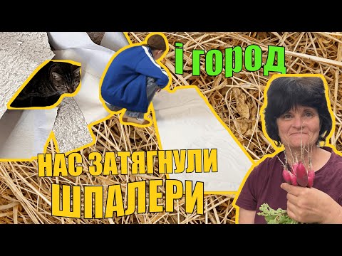 Видео: Ремонт у Селі Пішов не За Планом 😅 Але Закінчилось несподівано Мило 🐥| Життя в Селі В Звичайній Хаті