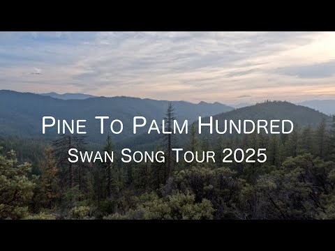 Видео: PINE TO PALM HUNDRED | Тур «Лебединая песня» 2025