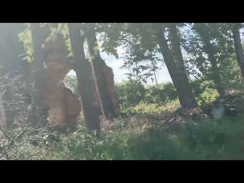 Видео: К родным на кладбище. 5 июля 2025 года.