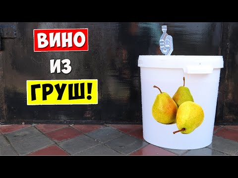 Видео: ОЧЕНЬ ВКУСНОЕ ВИНО из ГРУШ!!! Простой Рецепт Рецепт Грушевого Вина в домашних условиях / Pear Wine