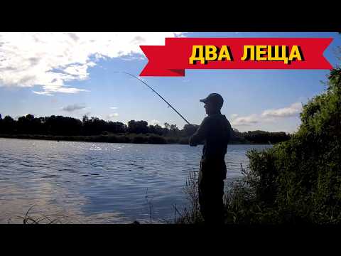 Видео: ЛОВИЛАСЬ МЕЛОЧЬ, А ТУТ МОЩНАЯ ПОКЛЁВКА.  Рыбалка на ДОНКИ на ОКЕ.