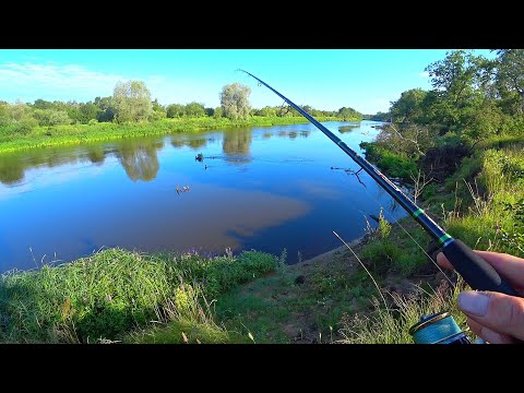 Видео: Летний джиг! РОЗОВЫЙ цвет ПОНРАВИЛСЯ щуке и судаку! Рыбалка на спиннинг в речном коряжнике!