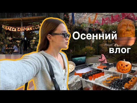 Видео: ОСЕННИЙ ВЛОГ: смотрим сумерки в лесу, покупки на Halloween, выставка тыкв 🎃